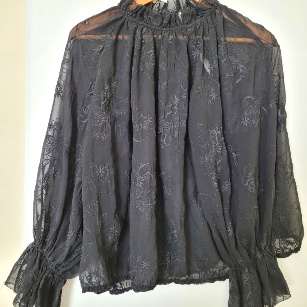 Zara Embroidered semi sheer blouse